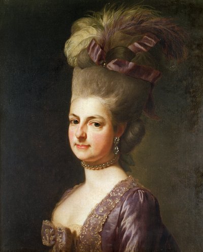 Maria Christana, Arch Duchess of Austria, 1730 by Jean François de Troy